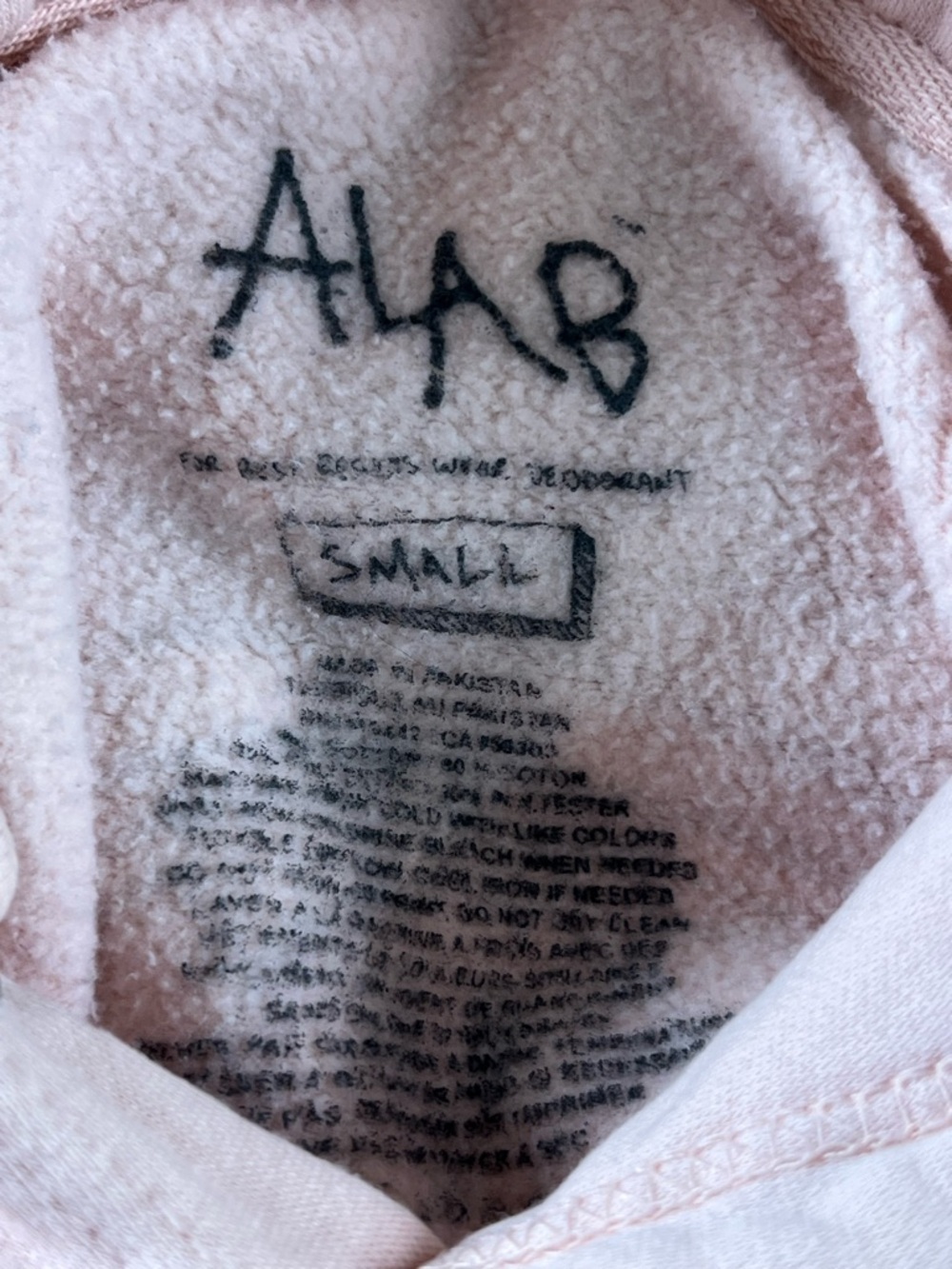 Zumiez - ALab A Lab Bouncing Around Light Pink Pullover Hoodie Adult Small - Picture 8 of 8
